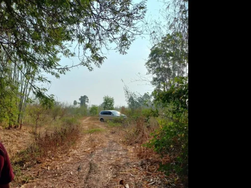 ขายที่ดินในตำบลโคกปี่ฆ้อง อำเภอเมือง จังหวัดสระแก้ว