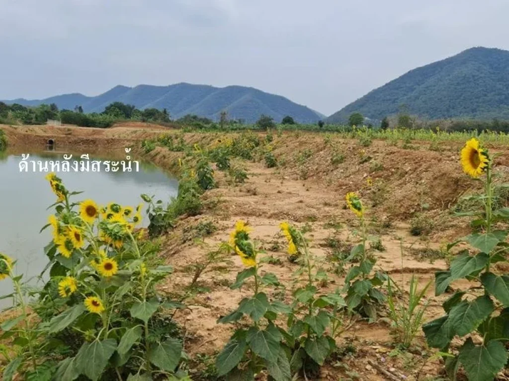 ขายที่ดินวิวเขาติดถนน น้ำไฟ สระ แหล่งท่องเที่ยว ชุมชน ท่ายาง