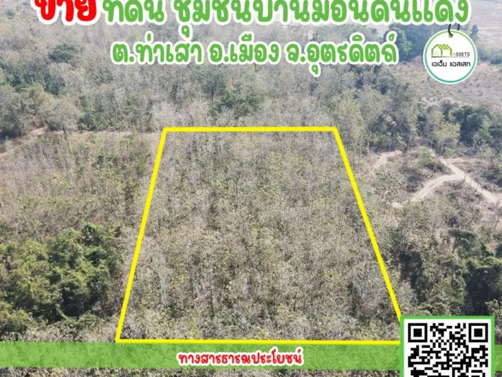 ที่ดินพร้อมต้นสักขนาดใหญ่ บ้านม่อนดินแดง เมืองอุตรดิตถ์