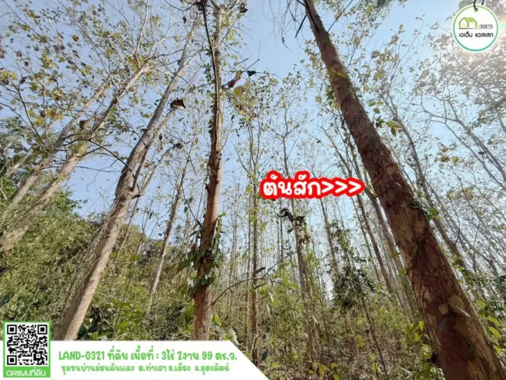 ที่ดินพร้อมต้นสักขนาดใหญ่ บ้านม่อนดินแดง เมืองอุตรดิตถ์