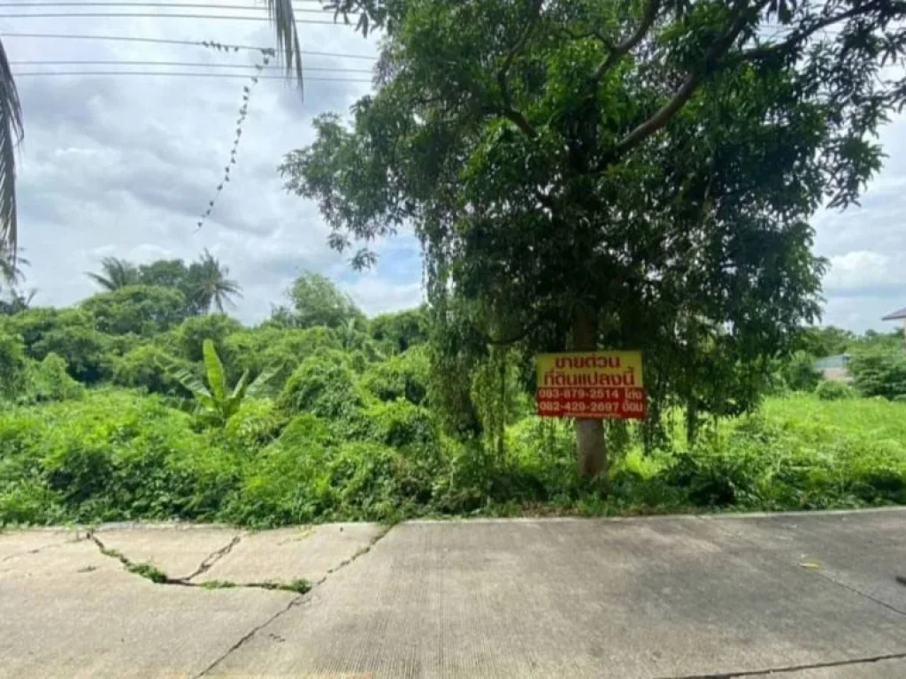 ขายด่วนที่ดิน 150 ตรว ซอยบางกร่าง45 เมืองนนทบุรี จนนทบุรี