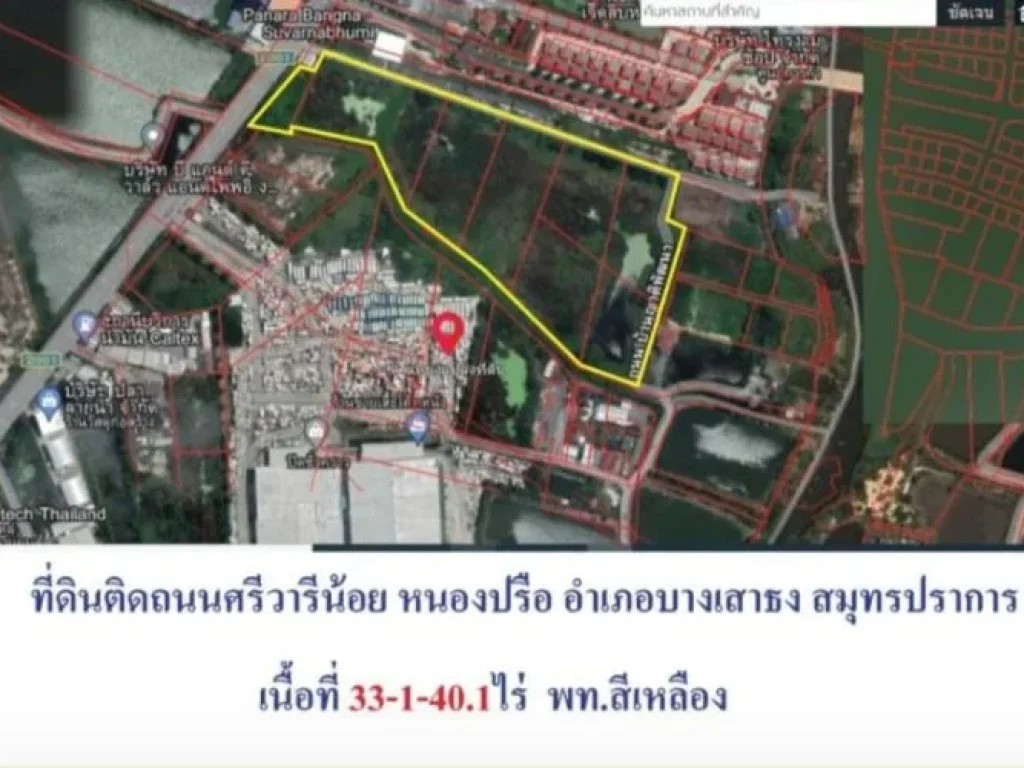 ที่ดินผังสีเหลืองติดถนนศรีวารีน้อย ศรีษจรเข้ใหญ่ บางเสาธง