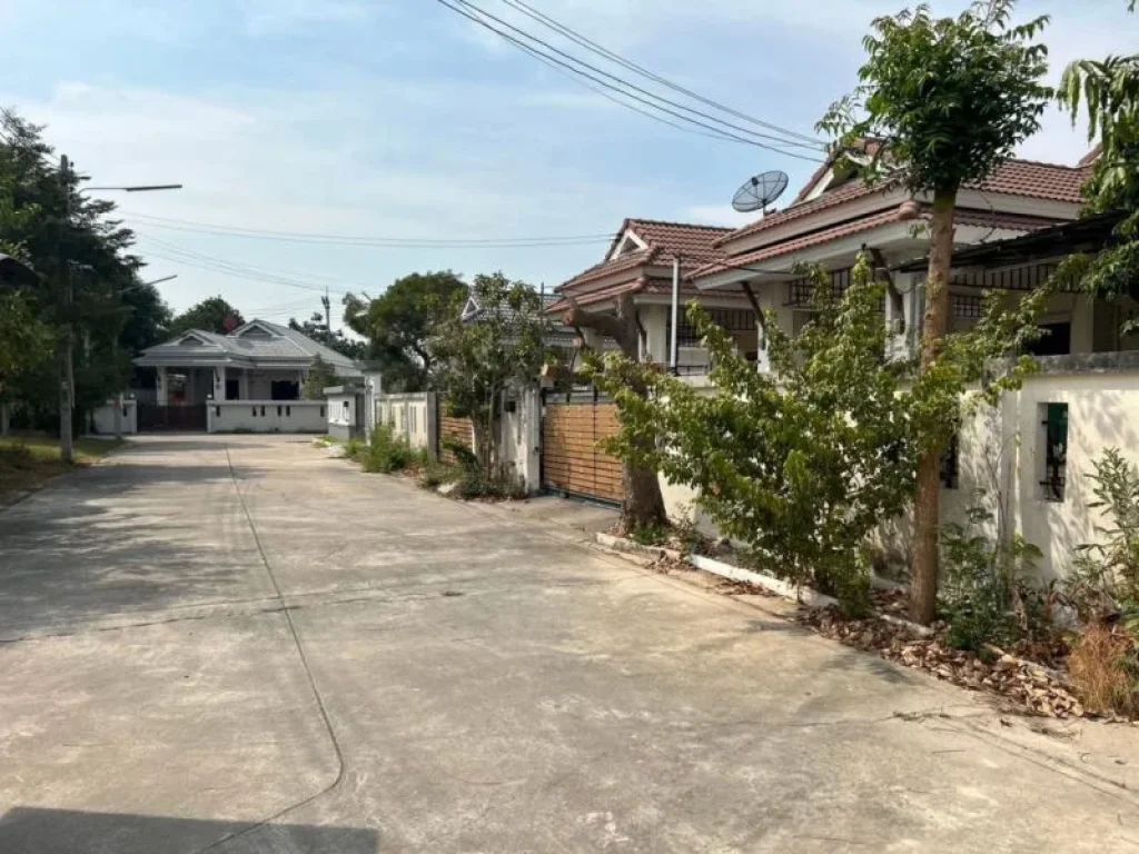 ขายที่ดิน 126 ตรว หมู่บ้านในฝัน บรรยากาศดีอยู่สุดซอย