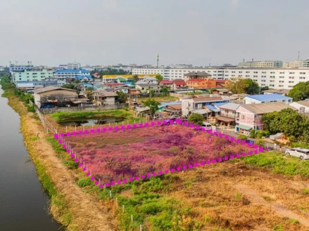 ขายที่ดิน 375 ตรว บางปูใหม่ สมุทรปราการ พื้นที่สีม่วง