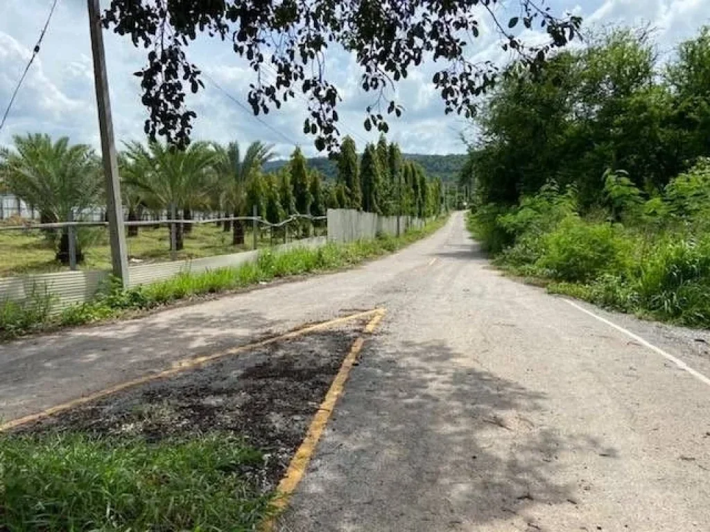 ขาย ที่ดิน 5 ไร่ อำเภอ เทพสถิต ชัยภูมิ ใกล้อุทยานป่าหินงามทุ