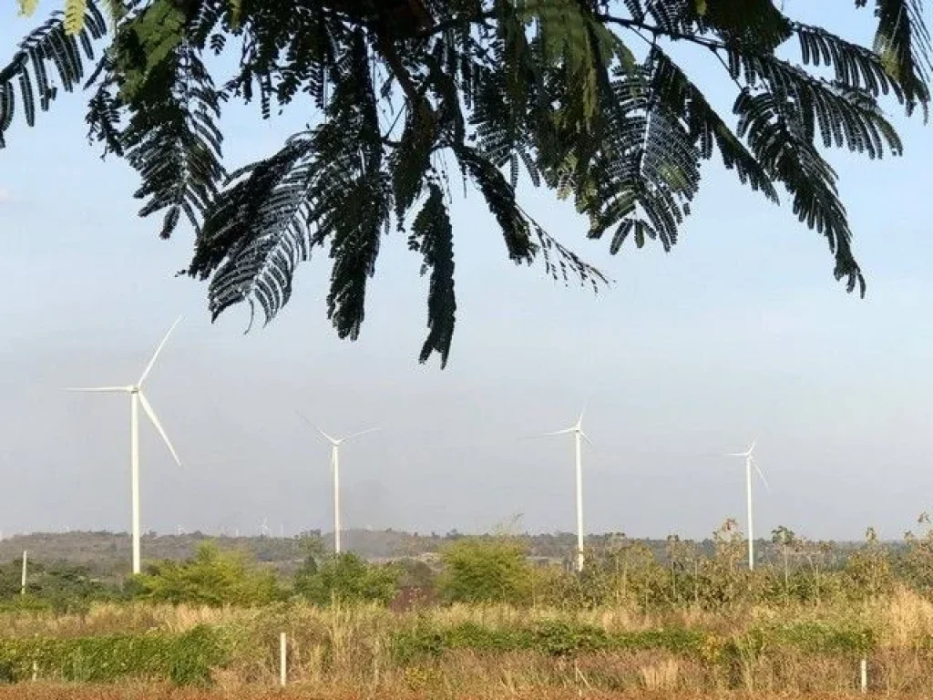 ขาย ที่ดิน 5 ไร่ อำเภอ เทพสถิต ชัยภูมิ ใกล้อุทยานป่าหินงามทุ