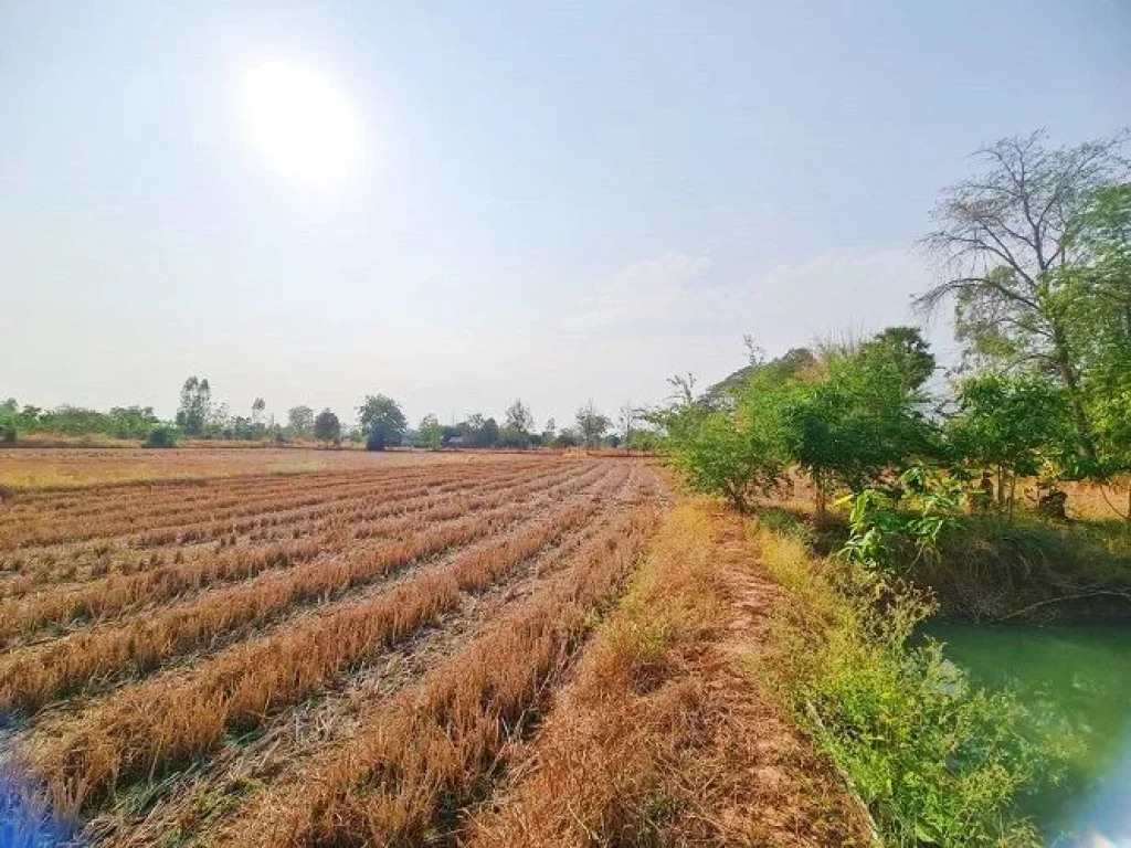 ที่ดินท้ายบ้านหนองคู ห่างตัวขอนแก่น 20กม