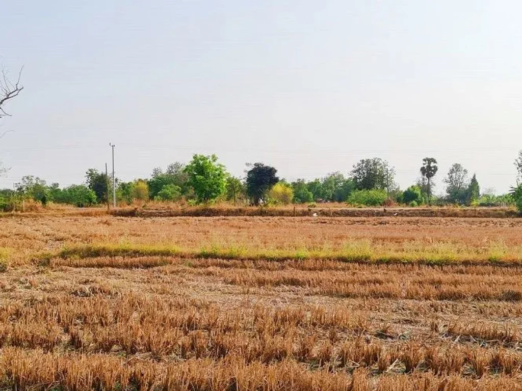 ที่ดินท้ายบ้านหนองคู ห่างตัวขอนแก่น 20กม