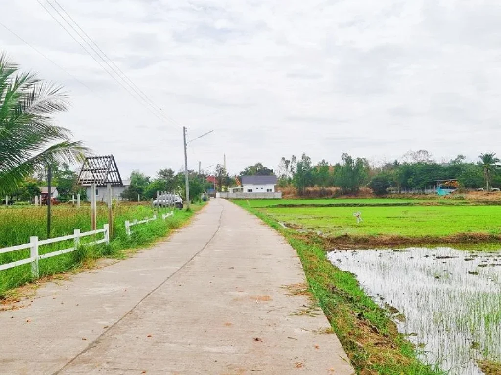 ที่ดินราคาถูก แปลงหัวมุมติดถนน2ด้าน ทำเลดี บรรยากาศดี