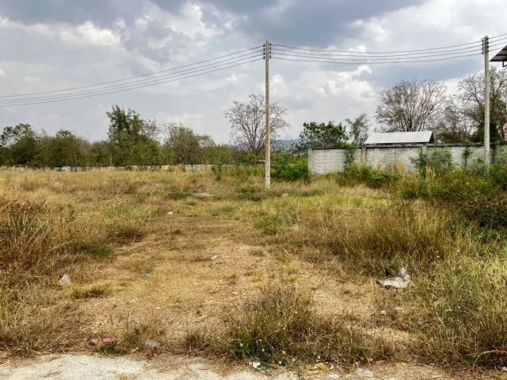 ที่ดินทำเลทอง ติดถนนใหญ่ ตรงข้ามราชภัฏลำปาง เหมาะสุดๆ