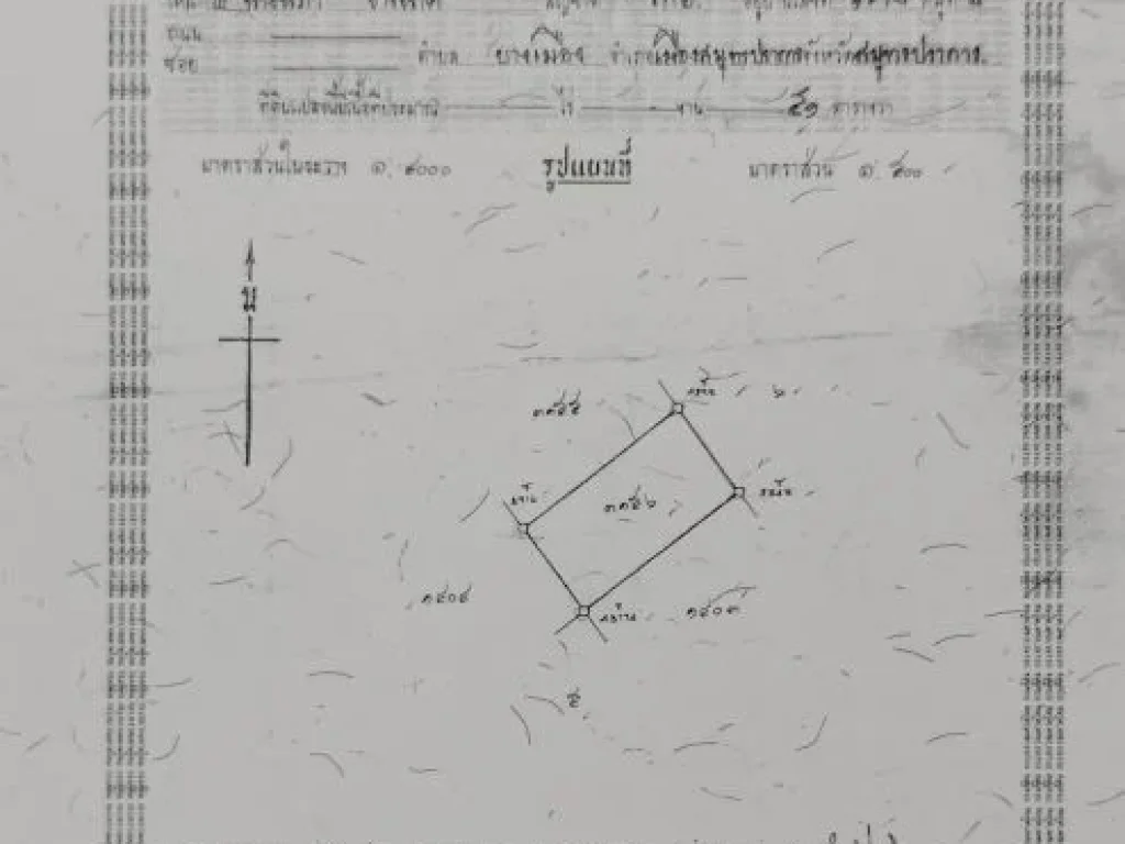 ประกาศขายที่ดิน 100 ตรว ตำบลปากน้ำ อำเภอเมือง สมุทรปรการ