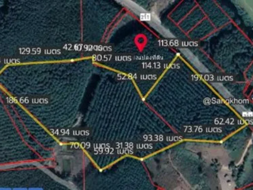 ขายที่ดินสวนยาง ขนาด 40-1-39 ไร่ กรีดได้แล้ว ทำเลดี