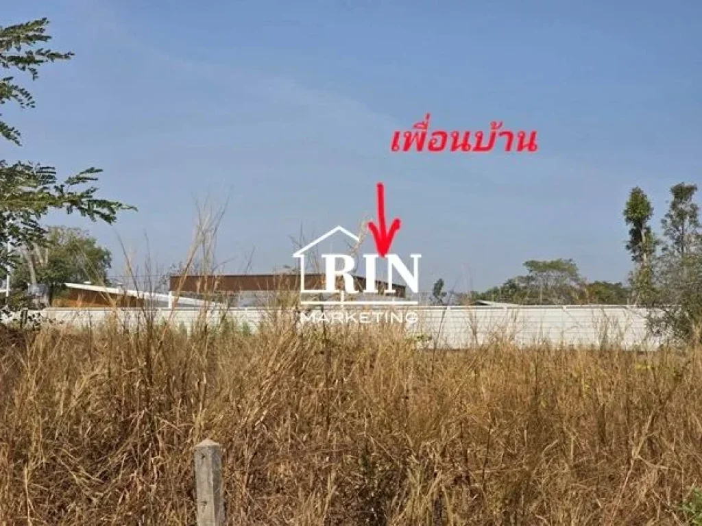 ขายที่ดินสวย 100 ตรว ถูกที่สุด บ้านไก่นา ตสำราญ อเมือง