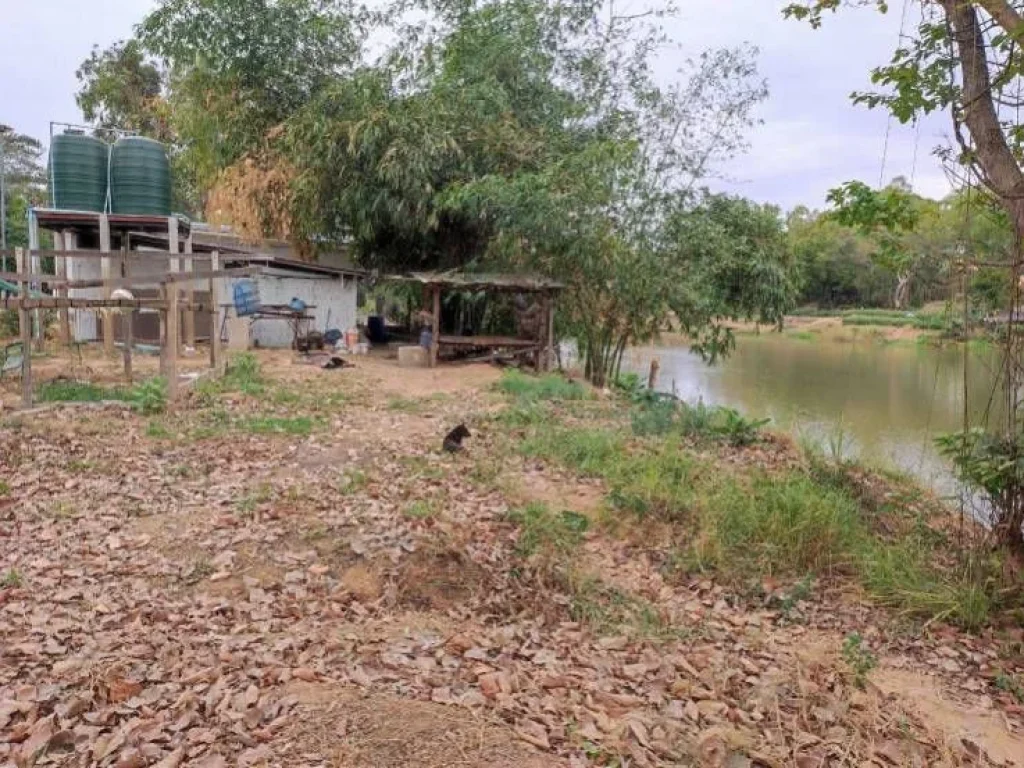 ขายที่ดินพร้อมบ้านสวน ติดลำน้ำชี บ้านดอนบม อำเภอเมืองขอนแก่น