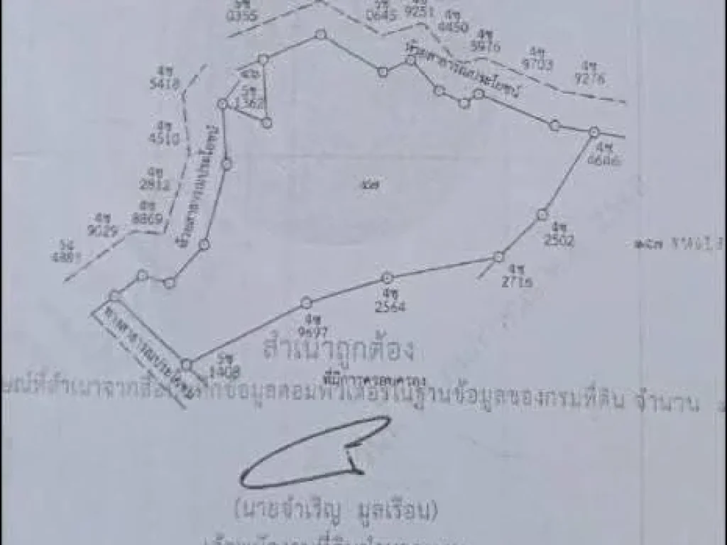 ที่ดินแปลงใหญ่ โฉนด 29 ไรกว่า ราคาถูก เมืองน่าน