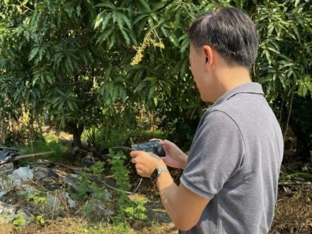 ขายที่ดิน 695 ตรวซบางรักใหญ่ 24 ใกล้วัดบางไผ่