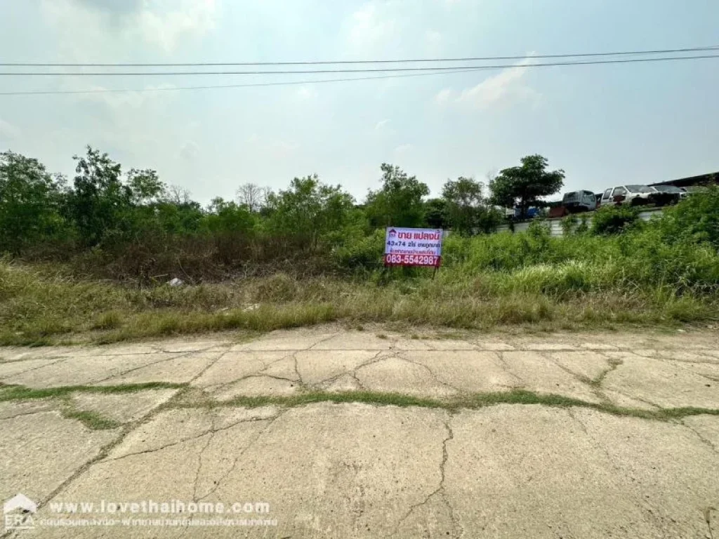 ขายที่ดิน ในซอยคลองสี่ตะวันตก 31 คลองหลวง ปทุมธานี พื้นที่