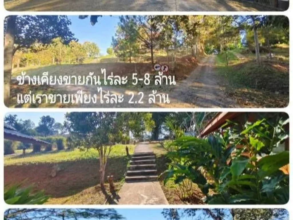 ขายที่ดิน เขาค้อ จเพชรบูรณ์ 27 ไร่ โฉนดครุฑแดง