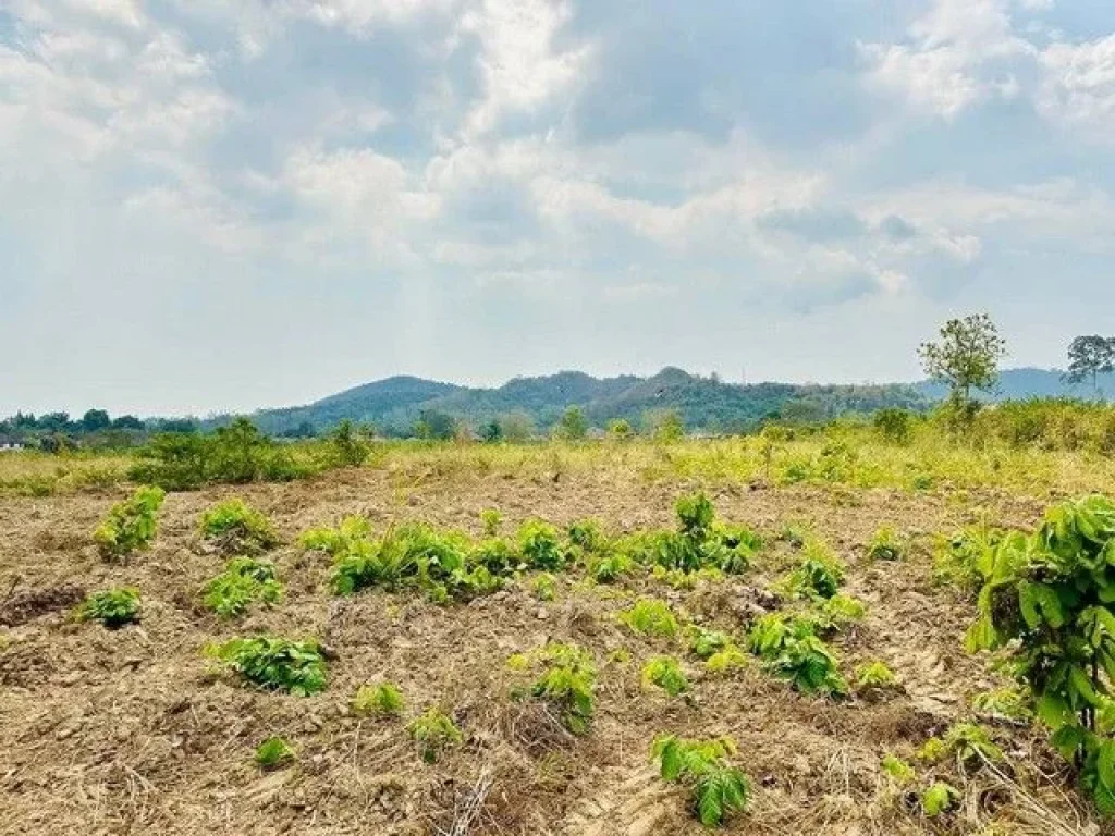 ขายที่ดินแปลงสวย เนื้อที่ 15 ไร่ ทำเลดี วิวภูเขา ใกล้ทะเล