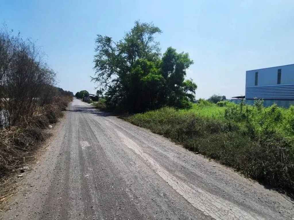 ขายที่ดิน ซอยสุขสำราญ คลองห้าตะวันออก อำเภอคลองหลวง ปทุมธานี