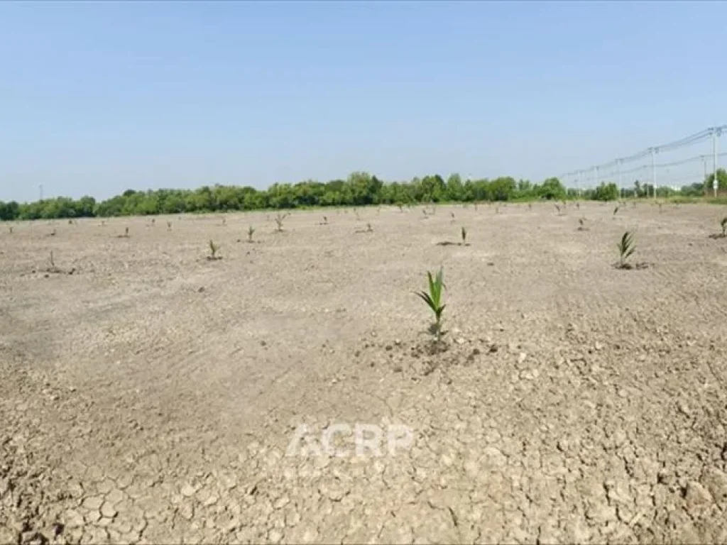 ขายที่ดินซอยประชาอุทิศ 90 ขนาดใหญ่ 18 ไร่ ถมแล้ว