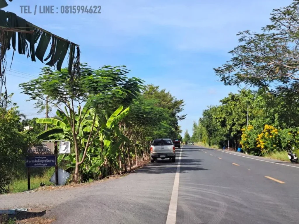 ขายที่ดินหนองเสือ 4 ไร่ ชุมชนหมู่ 6 พัฒนา คลอง14 ปทุมธานี