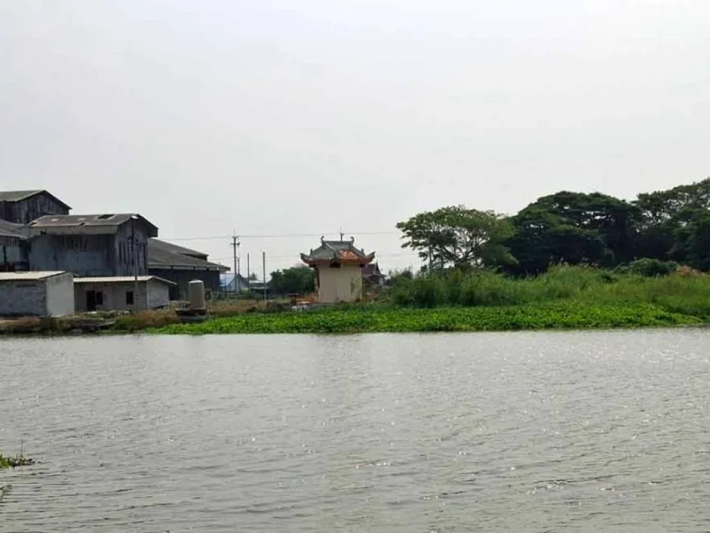 ขายที่ดินริมน้ำ 2 แปลง ตมดแดง ศรีประจันต์ สุพรรณบุรี