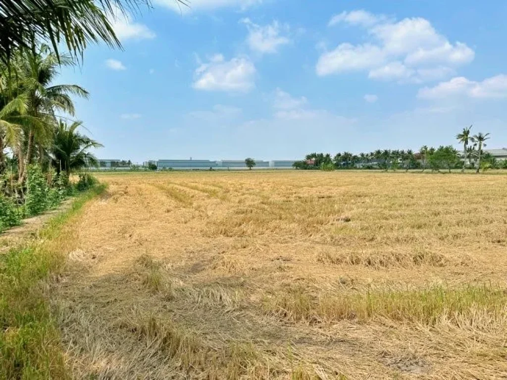 ขายที่ดินแปลงใหญ่ ทำเลทอง พุทธมณฑลสาย 5 ใกล้ตลาดน้ำดอนหวาย