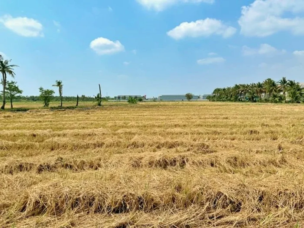 ขายที่ดินแปลงใหญ่ ทำเลทอง พุทธมณฑลสาย 5 ใกล้ตลาดน้ำดอนหวาย