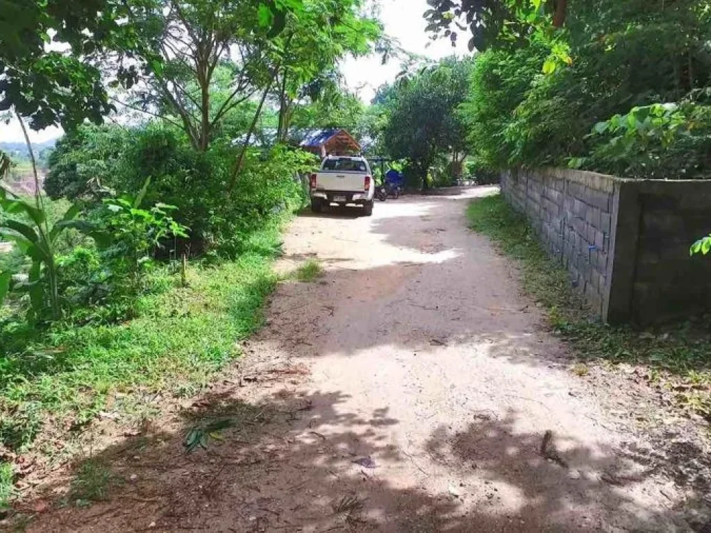 ขายที่ดินภูเก็ต วิวทะเลหาดป่าตอง ทำเลทองสำหรับการลงทุน