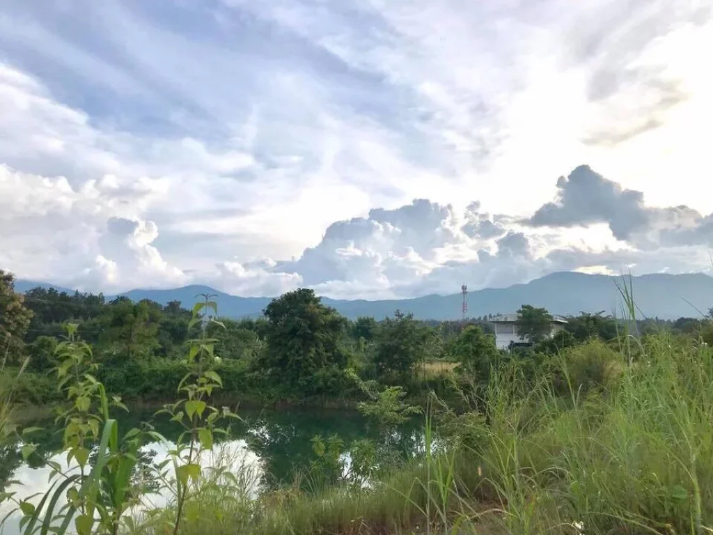 ที่ดินแบ่งโฉนดขาย ที่ตั้งบ้านหนองปลามัน ตห้วยทราย อแม่ริม จเชียงใหม่