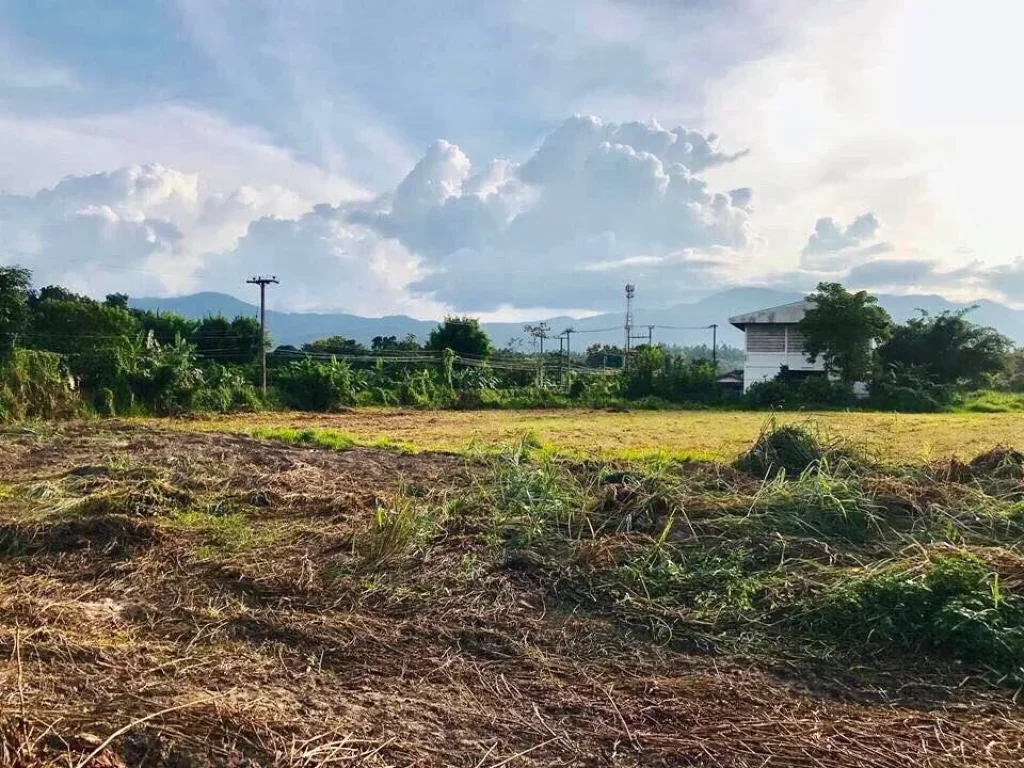 ที่ดินแบ่งโฉนดขาย ที่ตั้งบ้านหนองปลามัน ตห้วยทราย อแม่ริม จเชียงใหม่