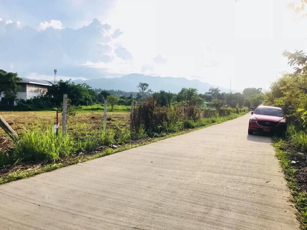 ที่ดินแบ่งโฉนดขาย ที่ตั้งบ้านหนองปลามัน ตห้วยทราย อแม่ริม จเชียงใหม่