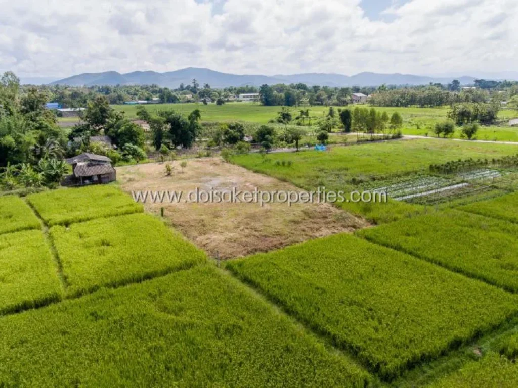 ขายที่ดินบรรยากาศดี วิวทุ่งนาและภูเขา ที่ดินติดตั้งอยู่ในตำบลป่าป้อง อำเภอดอยสะเก็ด