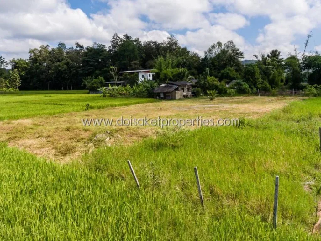 ขายที่ดินบรรยากาศดี วิวทุ่งนาและภูเขา ที่ดินติดตั้งอยู่ในตำบลป่าป้อง อำเภอดอยสะเก็ด