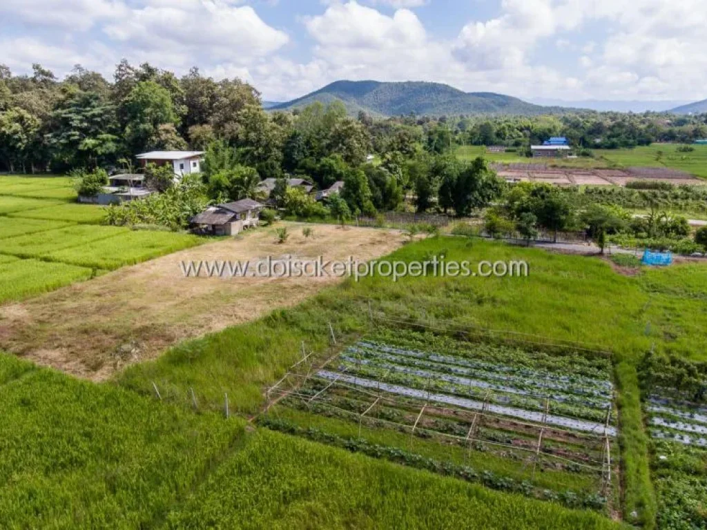 ขายที่ดินบรรยากาศดี วิวทุ่งนาและภูเขา ที่ดินติดตั้งอยู่ในตำบลป่าป้อง อำเภอดอยสะเก็ด