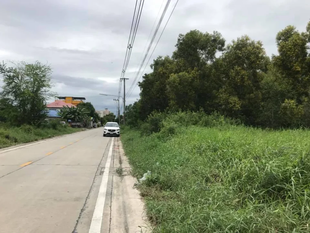 ขายที่ดินถมแล้ว ด่วน ซอยเทพกุญชร35 ตคลองหนึ่ง อคลองหลวง จปทุมธานี 201877 