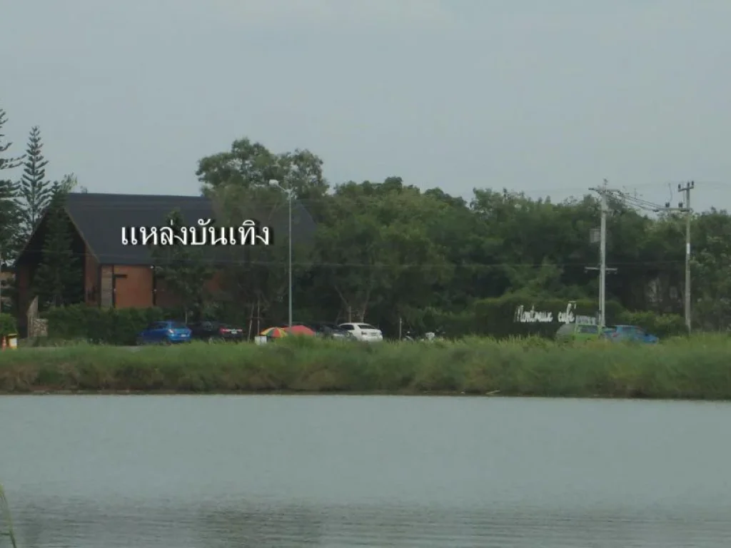 ให้เช่าขาย ที่ดิน 5 ไร่ 4 ตรวา ใกล้ถรังสิต-นครนายก คลอง 15 ใกล้มศวประสานมิตร อองครักษ์ นครนายก