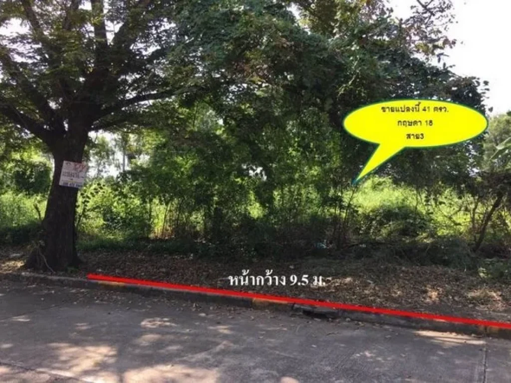 ขายที่ดิน กฤษดานคร 18 สาย3 เนื้อที่ 41 ตรวริมน้ำ บรรยากาศดี