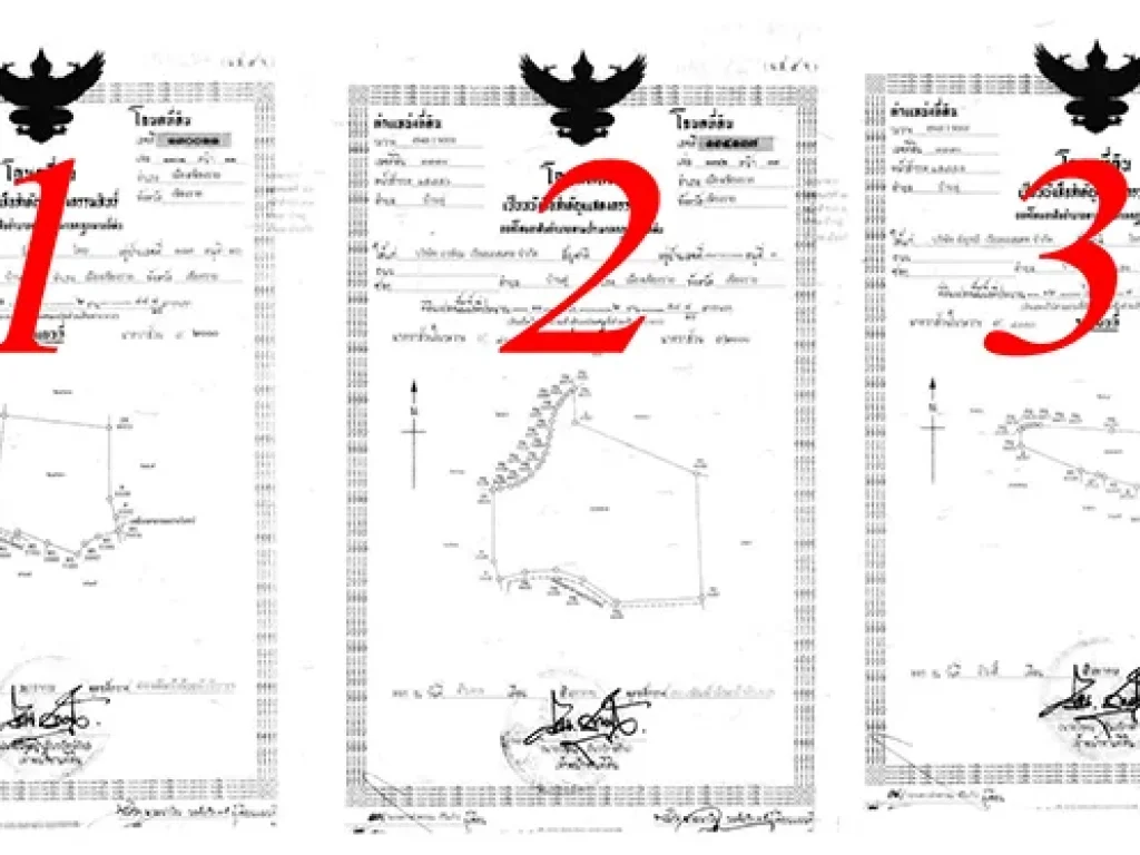 ขายด่วนที่ดินบ้านดู่เมืองใหม่ 3 แปลงรวม 30-0-527 เจ้าของขายเอง