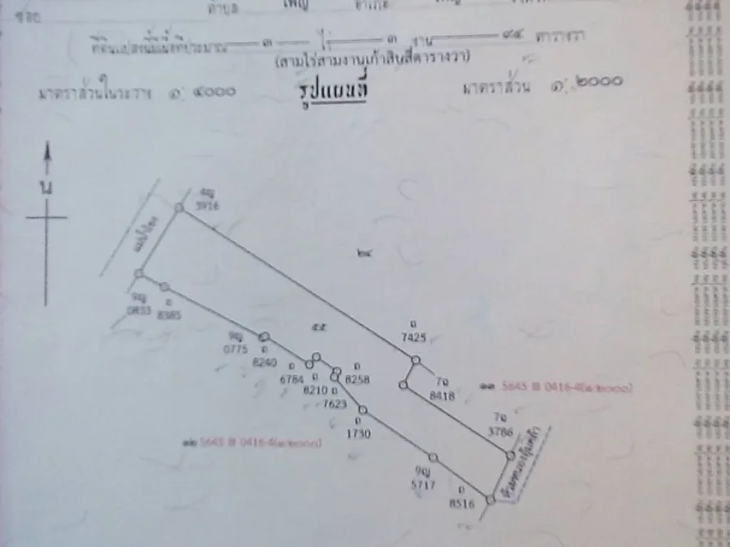 ต้องการขายที่ด่วน 2 แปลงๆ ละ 4 ไร่ ติดริมแม่น้ำโขง อรัตนวาปี จหนองคาย