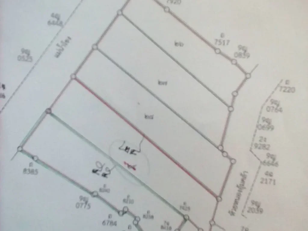 ต้องการขายที่ด่วน 2 แปลงๆ ละ 4 ไร่ ติดริมแม่น้ำโขง อรัตนวาปี จหนองคาย