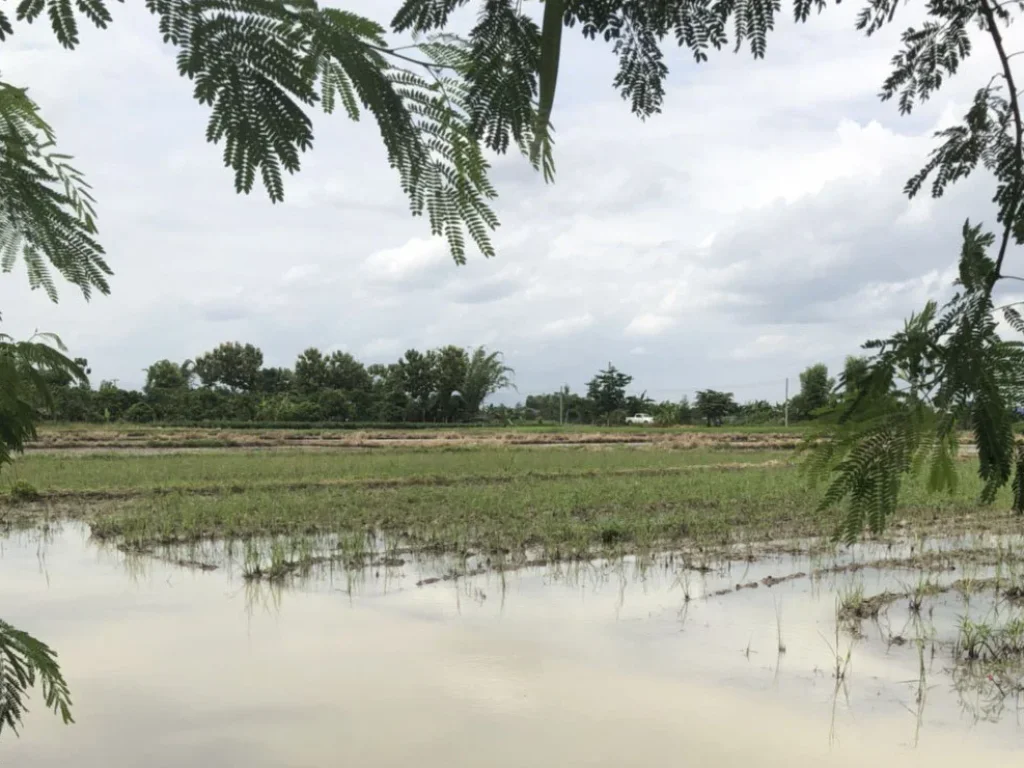 ที่ดินเปล่าจอมทอง เชียงใหม่ ใกล้ถนนเลี่ยงเมืองสันป่าตองหางดง