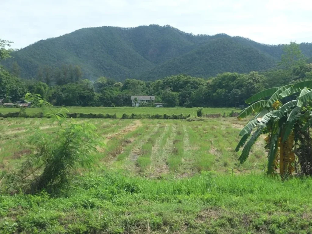 ที่วิวภูเขา ใกล้รีสอร์ทวังธาร ดอยสะเก็ด เชียงใหม่