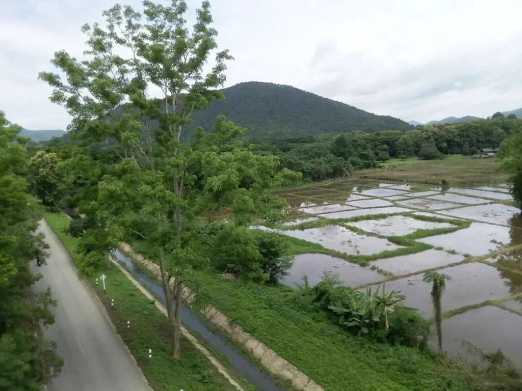 ที่วิวภูเขา ใกล้รีสอร์ทวังธาร ดอยสะเก็ด เชียงใหม่