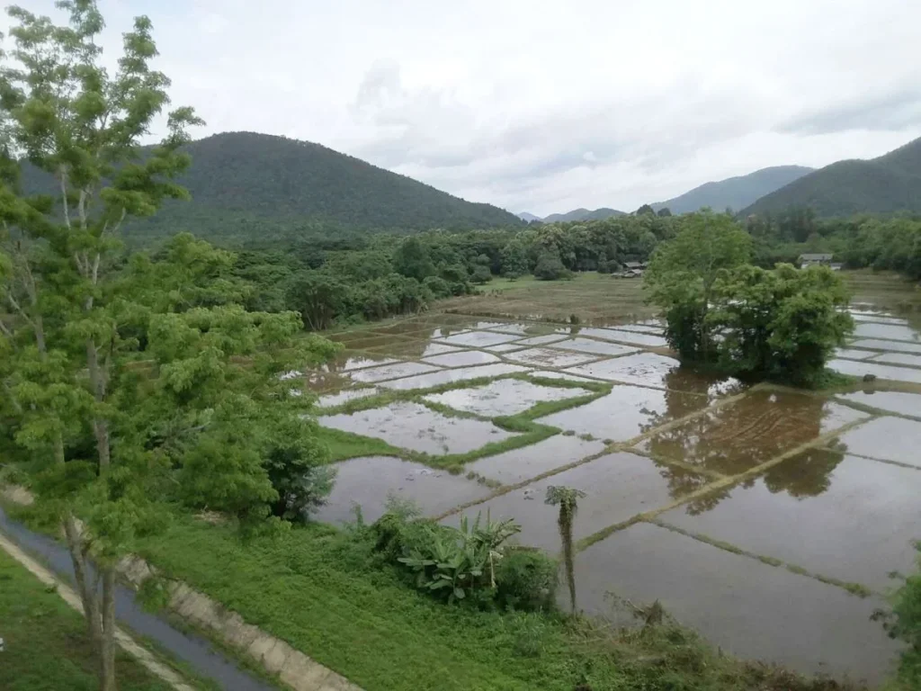 ที่วิวภูเขา ใกล้รีสอร์ทวังธาร ดอยสะเก็ด เชียงใหม่