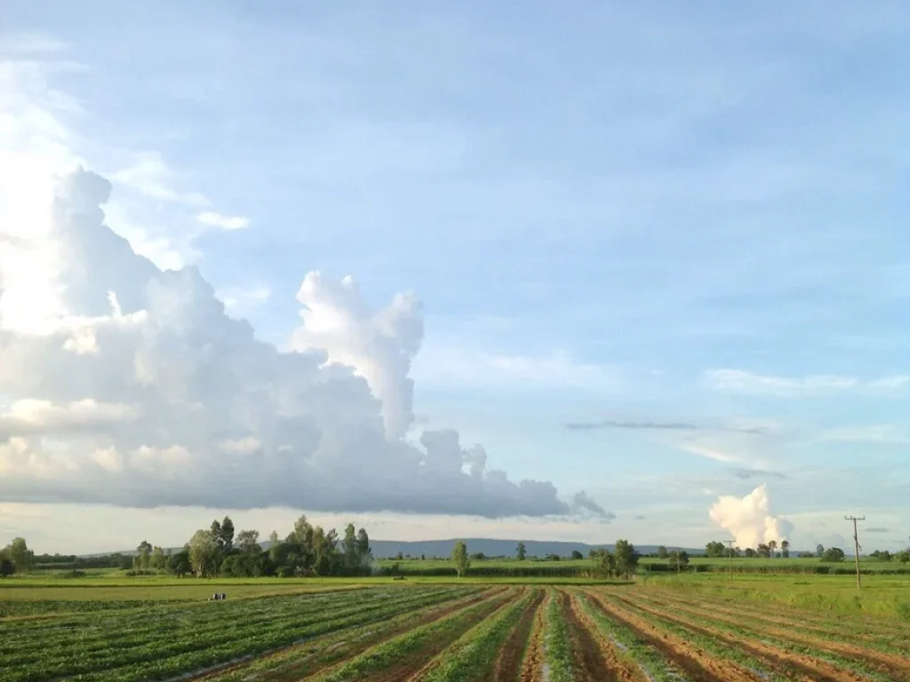 ขายที่ดินใกล้รถไฟรางคู่ในจังหวัดขอนแก่น น้ำพอง-กระนวน 