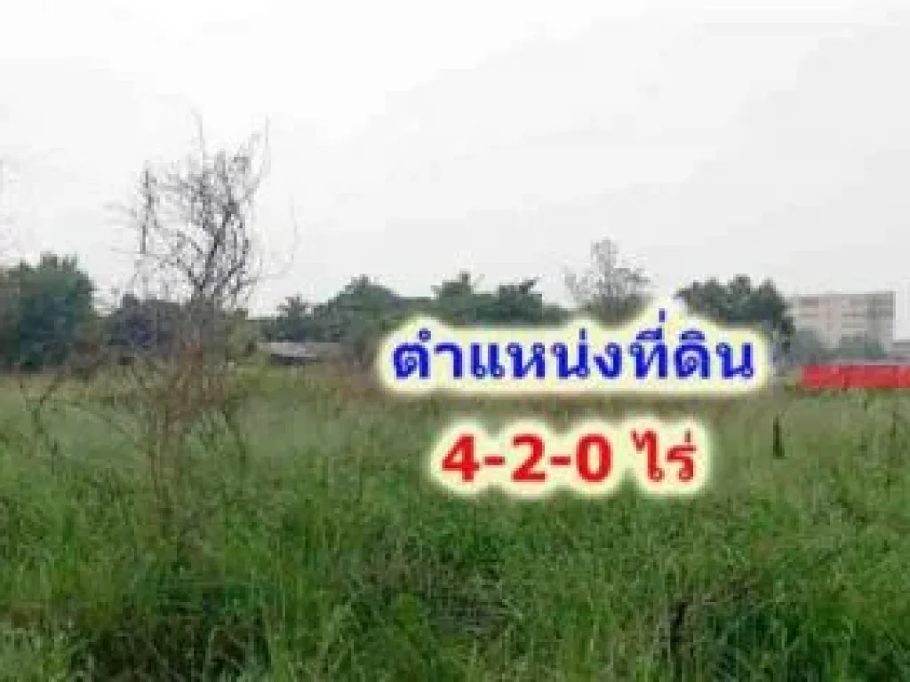 ขายที่ดินติดถนนสาธารณะ 3 ด้าน โซนนิคมอุตสาหกรรมปิ่นทอง1 อศรีราชา จชลบุรี