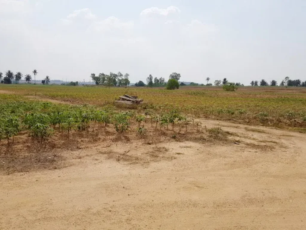 ที่ดิน เขาไม้แก้ว สุขุมวิท บางละมุง ชลบุรี