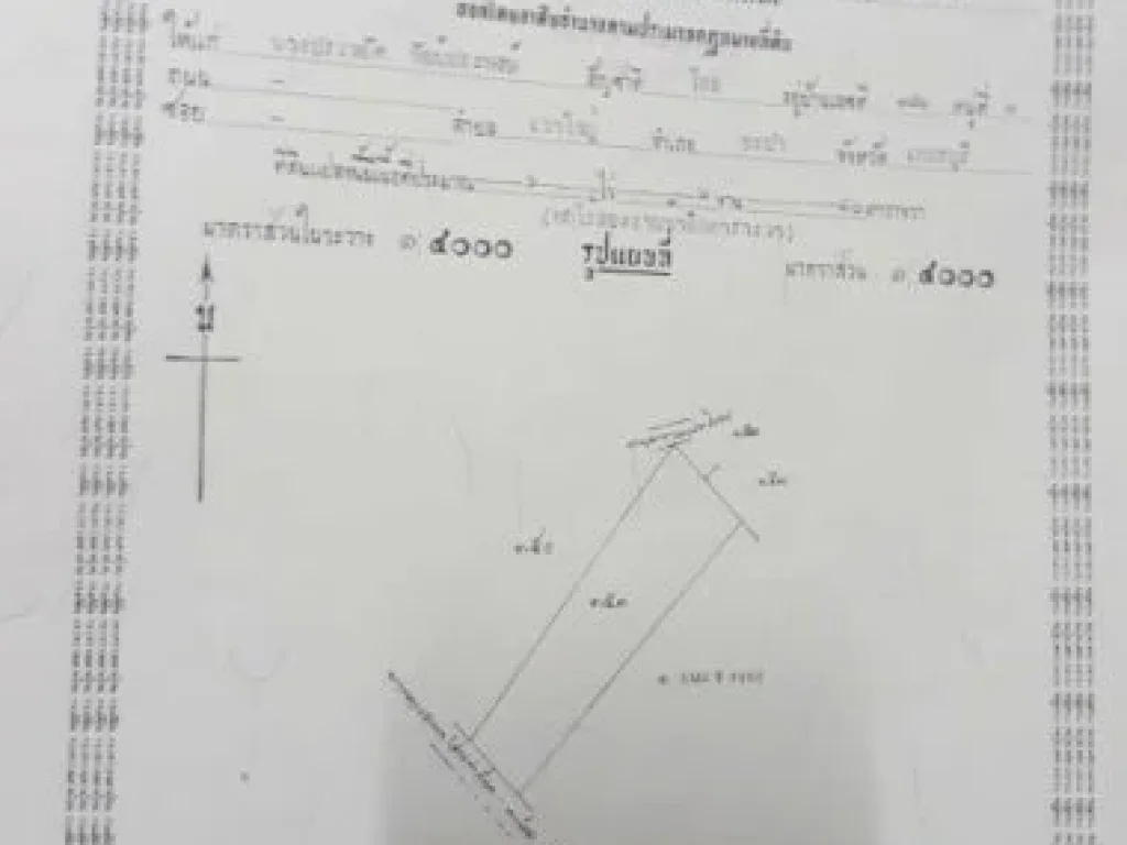 ขายที่ดิน 6 ไร่ 2 งานเจ้าของขายเอง ที่ดินสวย